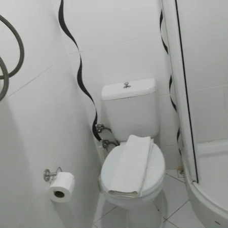 公寓式酒店 Gold Lion 4*