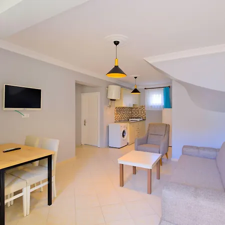 Gold Lion 公寓式酒店 4*