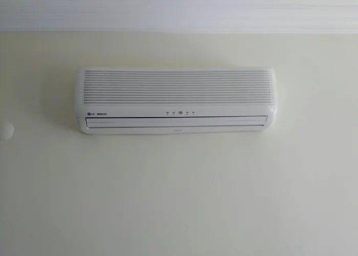 Gold Lion 올루데니스