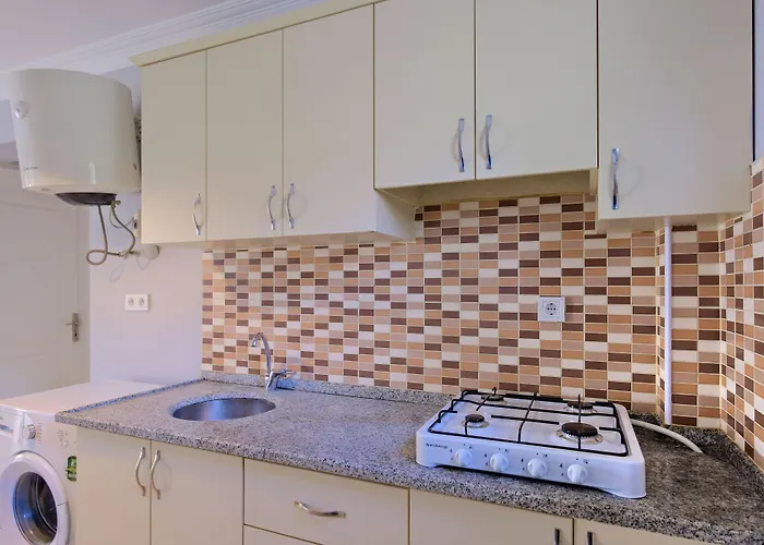 Gold Lion 아파트호텔 올루데니스